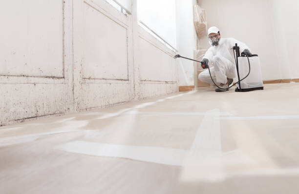 24/7 Emergency Black Mold Remediation experts in Sparta, GA