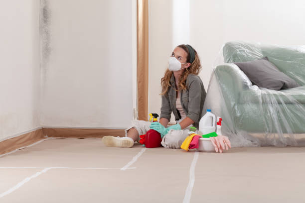 Reliable Black Mold Remediation contractor in Sparta, GA by 24 Hour Mold Removal